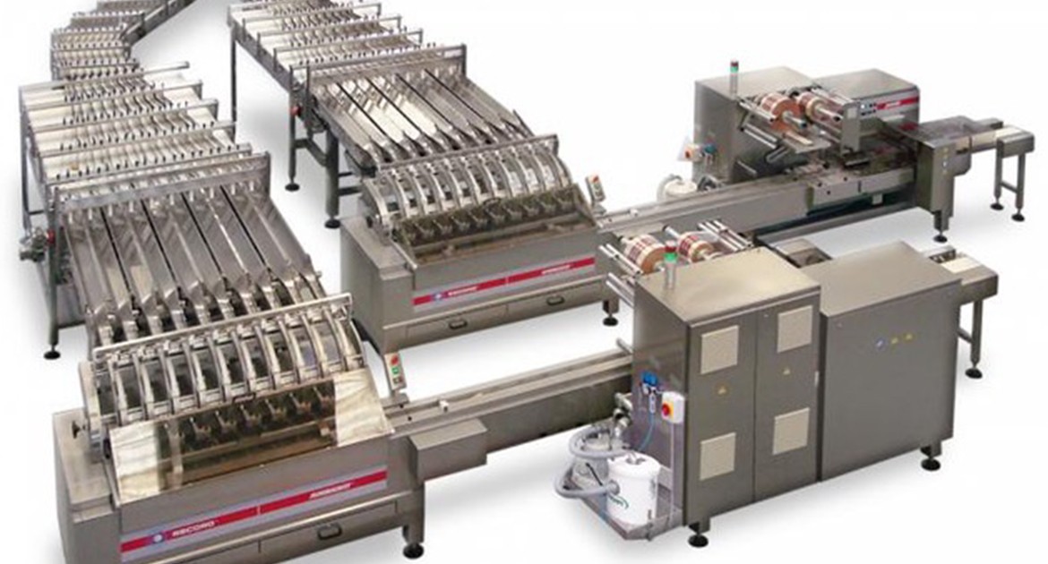 PACKAGING SYSTEM FOR BISCUITS